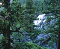 Spring waterfall in Lake Tahoe