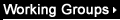 Working Groups